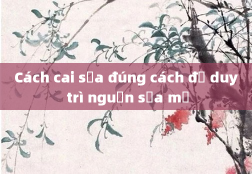 Cách cai sữa đúng cách để duy trì nguồn sữa mẹ