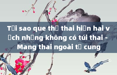 Tại sao que thử thai hiện hai vạch nhưng không có túi thai - Mang thai ngoài tử cung