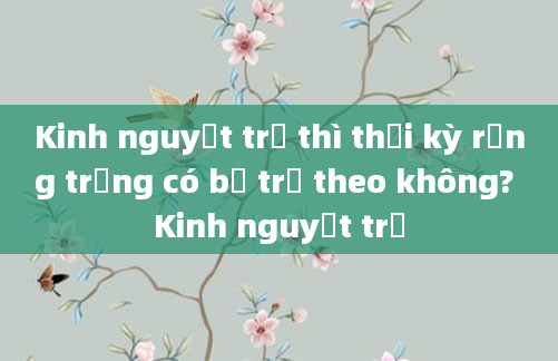 Kinh nguyệt trễ thì thời kỳ rụng trứng có bị trễ theo không? Kinh nguyệt trễ