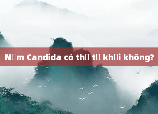 Nấm Candida có thể tự khỏi không?