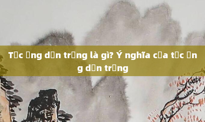 Tắc ống dẫn trứng là gì? Ý nghĩa của tắc ống dẫn trứng