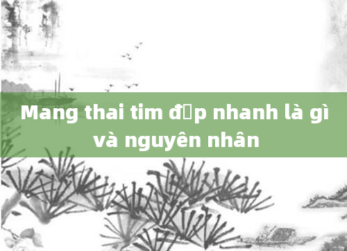 Mang thai tim đập nhanh là gì và nguyên nhân