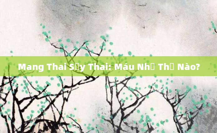 Mang Thai Sảy Thai: Máu Như Thế Nào?
