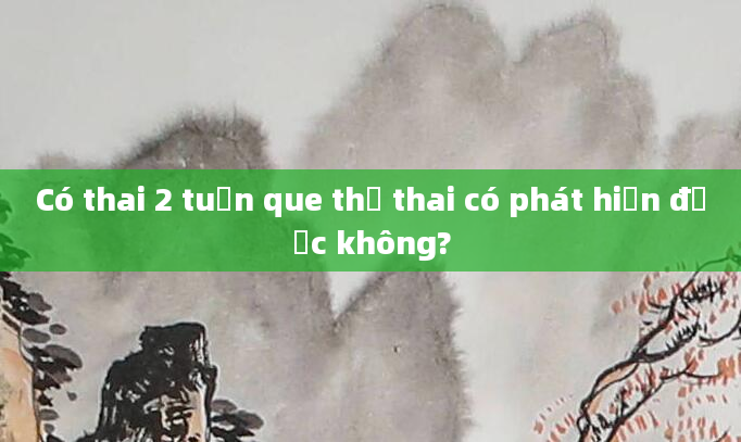 Có thai 2 tuần que thử thai có phát hiện được không?