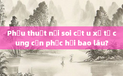 Phẫu thuật nội soi cắt u xơ tử cung cần phục hồi bao lâu?
