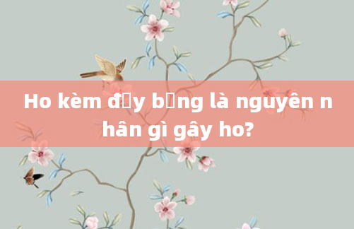 Ho kèm đầy bụng là nguyên nhân gì gây ho?