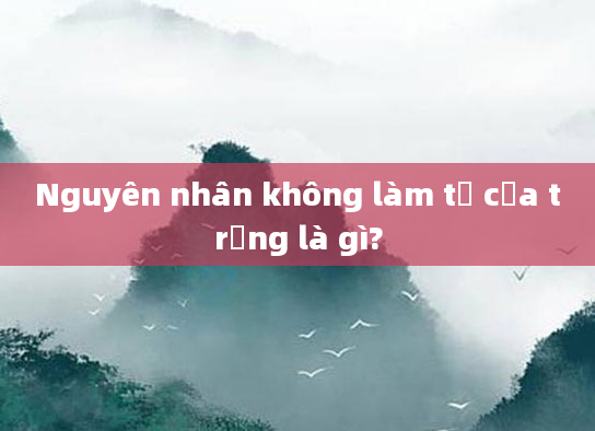 Nguyên nhân không làm tổ của trứng là gì?