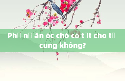 Phụ nữ ăn óc chó có tốt cho tử cung không?