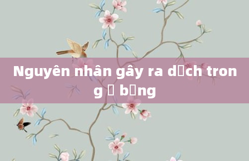 Nguyên nhân gây ra dịch trong ổ bụng