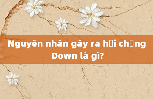 Nguyên nhân gây ra hội chứng Down là gì?