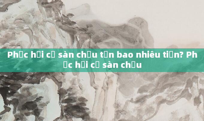 Phục hồi cơ sàn chậu tốn bao nhiêu tiền? Phục hồi cơ sàn chậu