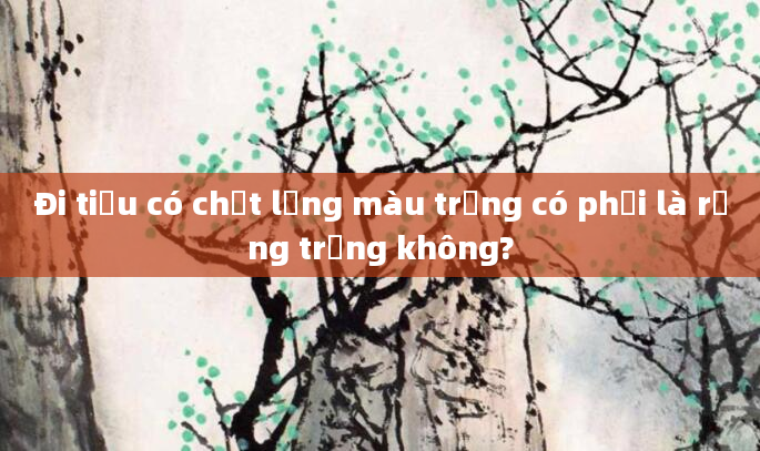 Đi tiểu có chất lỏng màu trắng có phải là rụng trứng không?