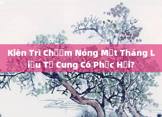 Kiên Trì Chườm Nóng Một Tháng Liệu Tử Cung Có Phục Hồi?