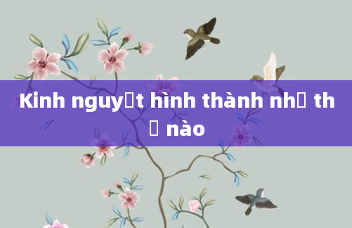Kinh nguyệt hình thành như thế nào