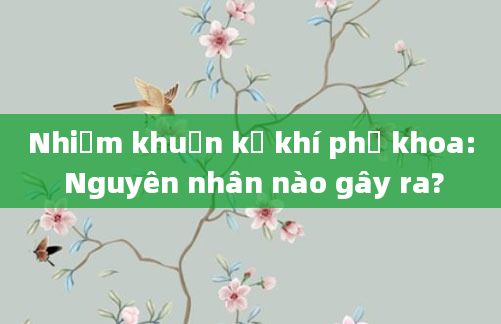Nhiễm khuẩn kỵ khí phụ khoa: Nguyên nhân nào gây ra?