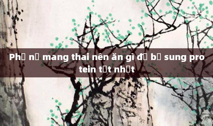Phụ nữ mang thai nên ăn gì để bổ sung protein tốt nhất