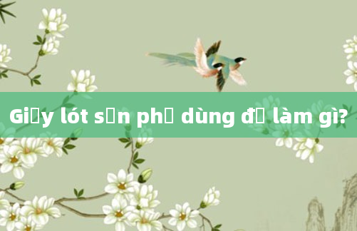 Giấy lót sản phụ dùng để làm gì?