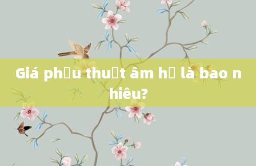 Giá phẫu thuật âm hộ là bao nhiêu?