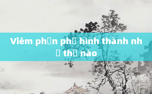 Viêm phần phụ hình thành như thế nào