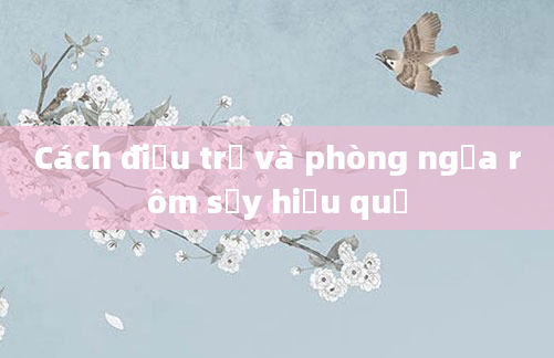 Cách điều trị và phòng ngừa rôm sảy hiệu quả