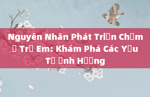 Nguyên Nhân Phát Triển Chậm ở Trẻ Em: Khám Phá Các Yếu Tố Ảnh Hưởng