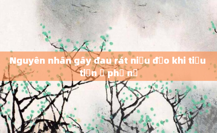 Nguyên nhân gây đau rát niệu đạo khi tiểu tiện ở phụ nữ