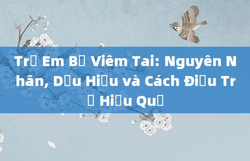 Trẻ Em Bị Viêm Tai: Nguyên Nhân, Dấu Hiệu và Cách Điều Trị Hiệu Quả