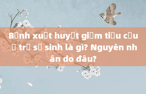 Bệnh xuất huyết giảm tiểu cầu ở trẻ sơ sinh là gì? Nguyên nhân do đâu?