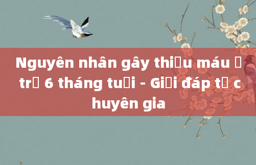 Nguyên nhân gây thiếu máu ở trẻ 6 tháng tuổi - Giải đáp từ chuyên gia