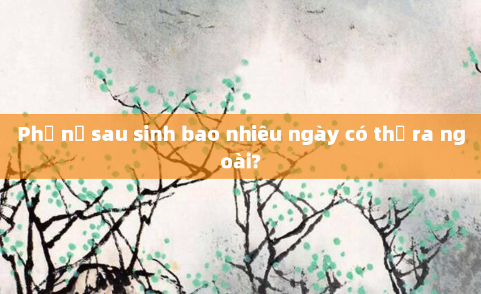 Phụ nữ sau sinh bao nhiêu ngày có thể ra ngoài?