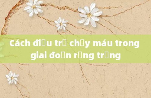 Cách điều trị chảy máu trong giai đoạn rụng trứng
