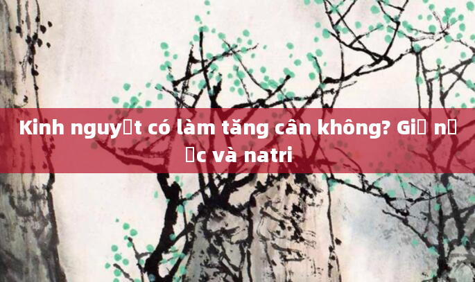 Kinh nguyệt có làm tăng cân không? Giữ nước và natri