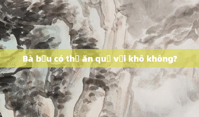 Bà bầu có thể ăn quả vải khô không?