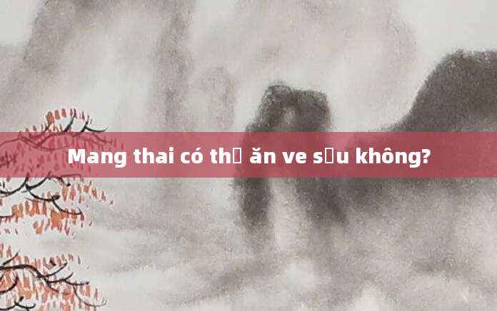 Mang thai có thể ăn ve sầu không?