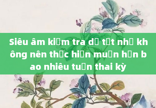 Siêu âm kiểm tra dị tật nhỏ không nên thực hiện muộn hơn bao nhiêu tuần thai kỳ