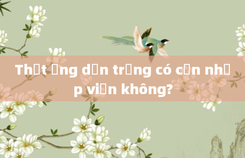 Thắt ống dẫn trứng có cần nhập viện không?