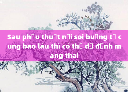 Sau phẫu thuật nội soi buồng tử cung bao lâu thì có thể dự định mang thai