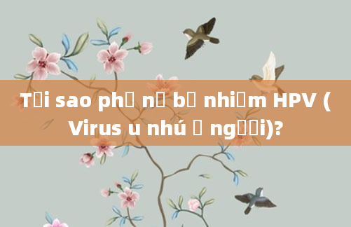 Tại sao phụ nữ bị nhiễm HPV (Virus u nhú ở người)?
