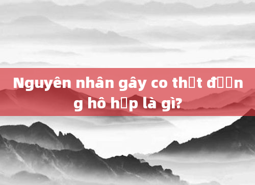 Nguyên nhân gây co thắt đường hô hấp là gì?