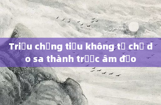 Triệu chứng tiểu không tự chủ do sa thành trước âm đạo
