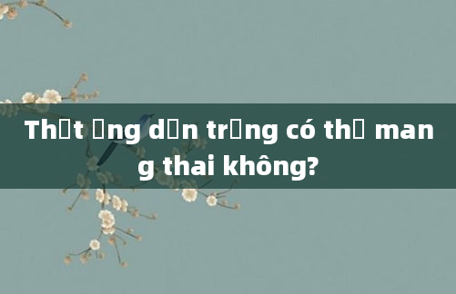 Thắt ống dẫn trứng có thể mang thai không?
