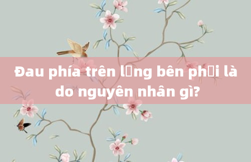 Đau phía trên lưng bên phải là do nguyên nhân gì?