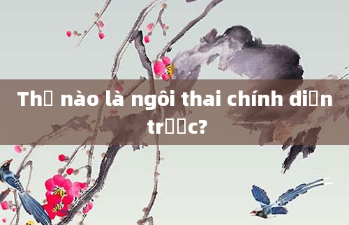Thế nào là ngôi thai chính diện trước?