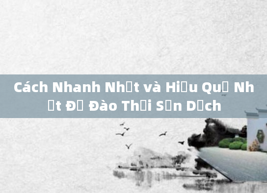 Cách Nhanh Nhất và Hiệu Quả Nhất Để Đào Thải Sản Dịch