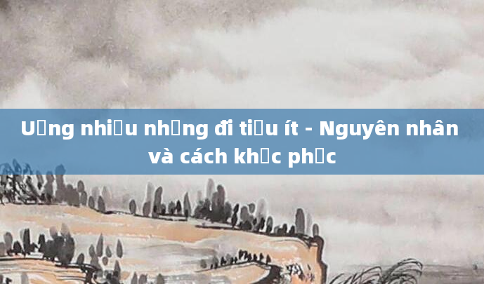 Uống nhiều nhưng đi tiểu ít - Nguyên nhân và cách khắc phục