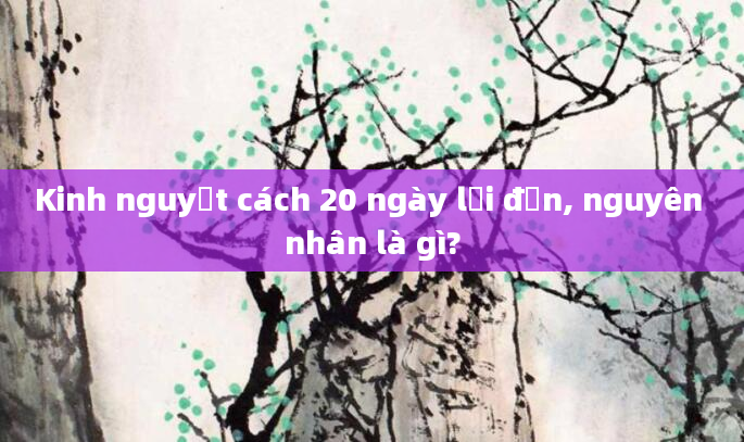 Kinh nguyệt cách 20 ngày lại đến, nguyên nhân là gì?