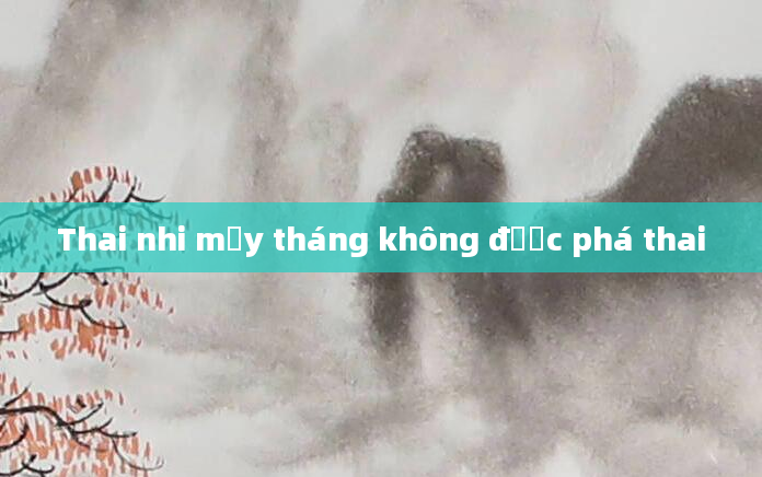 Thai nhi mấy tháng không được phá thai
