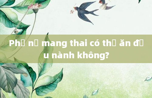 Phụ nữ mang thai có thể ăn đậu nành không?