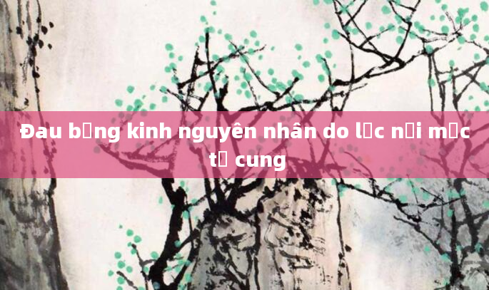 Đau bụng kinh nguyên nhân do lạc nội mạc tử cung