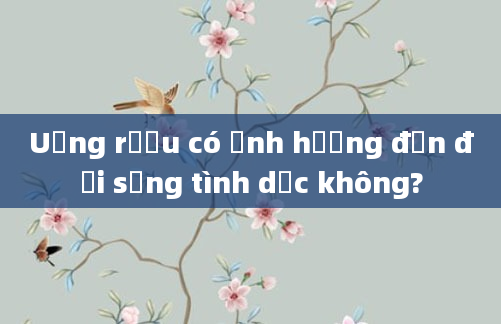 Uống rượu có ảnh hưởng đến đời sống tình dục không?